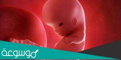 الاسبوع 27 من الحمل يعني اي شهر ؟