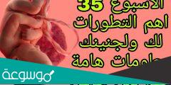 الاسبوع 35 من الحمل يعني اي شهر ؟