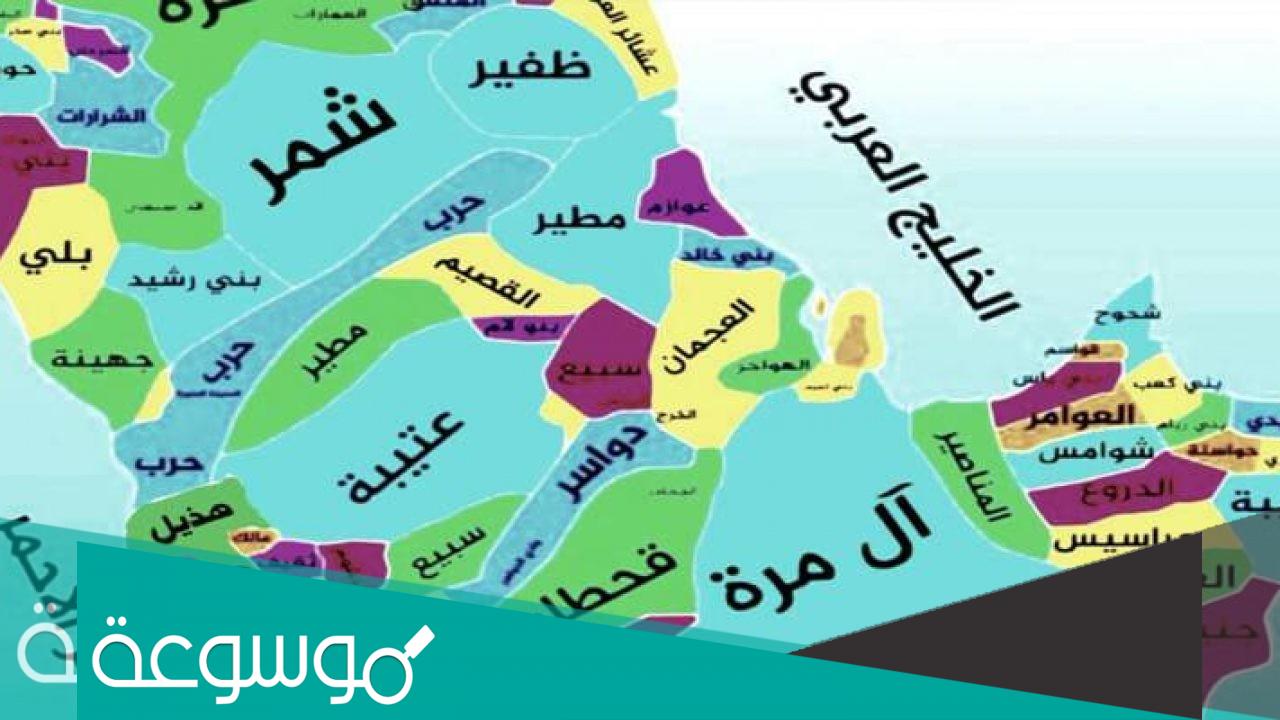 الثمالي من اي قبيلة