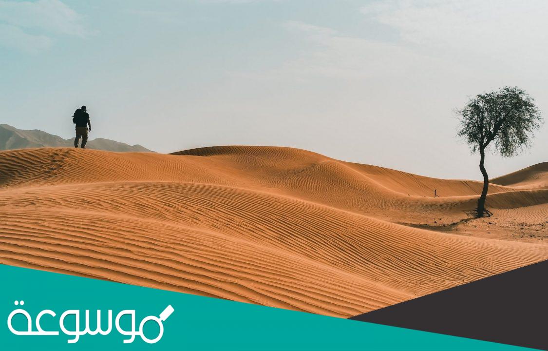 الحقيل من وين