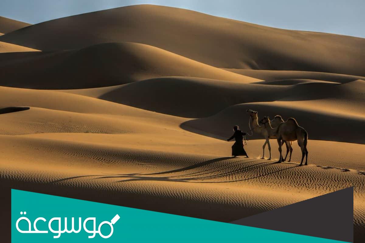 الحلافي من اي قبيلة