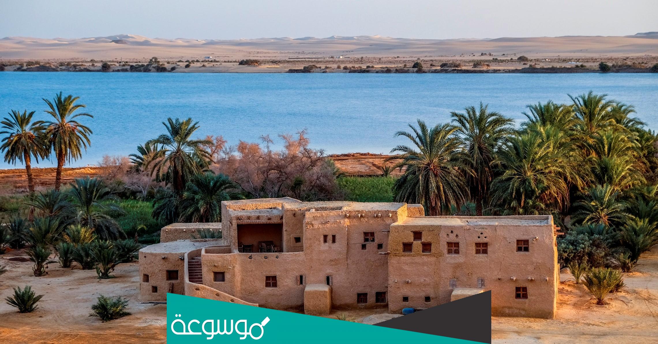 اهم الاماكن السياحية وما تشتهر به واهم منتجاتها مثل واحة سيوة