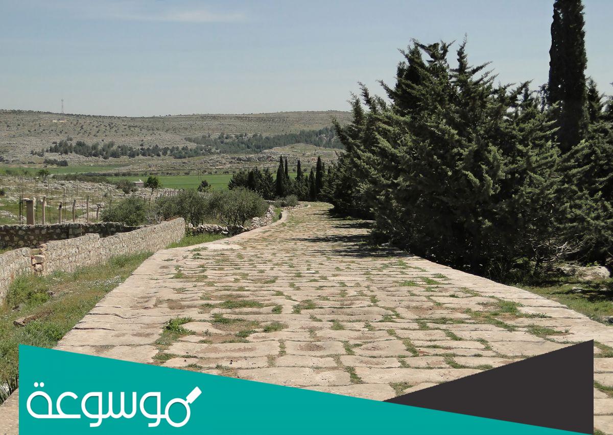 اين تقع قنسرين