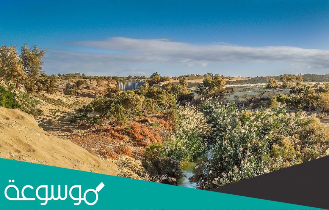 اين يقع وادي الريان في الأردن