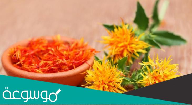 تجربتي مع العصفر للخوف وأهم الوصفات