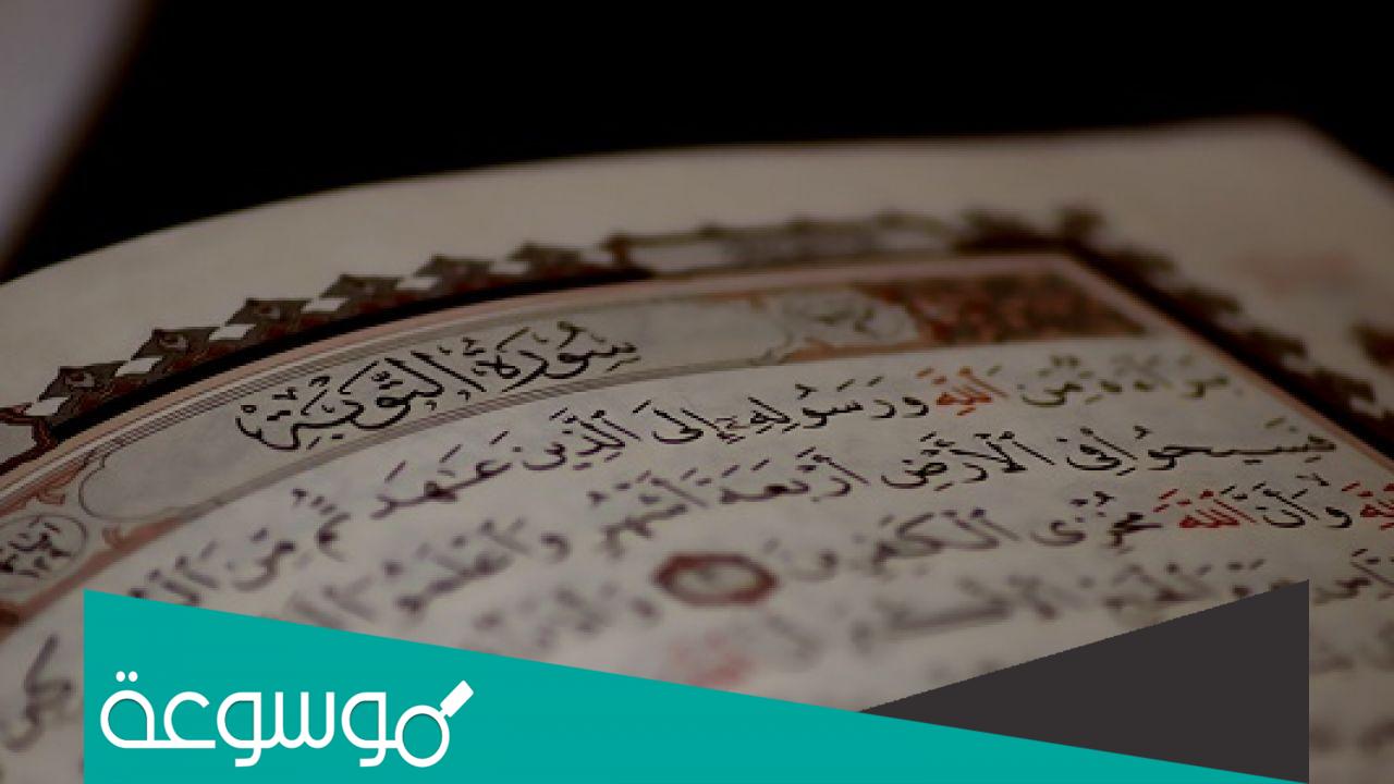 تجربتي مع سورة التوبة