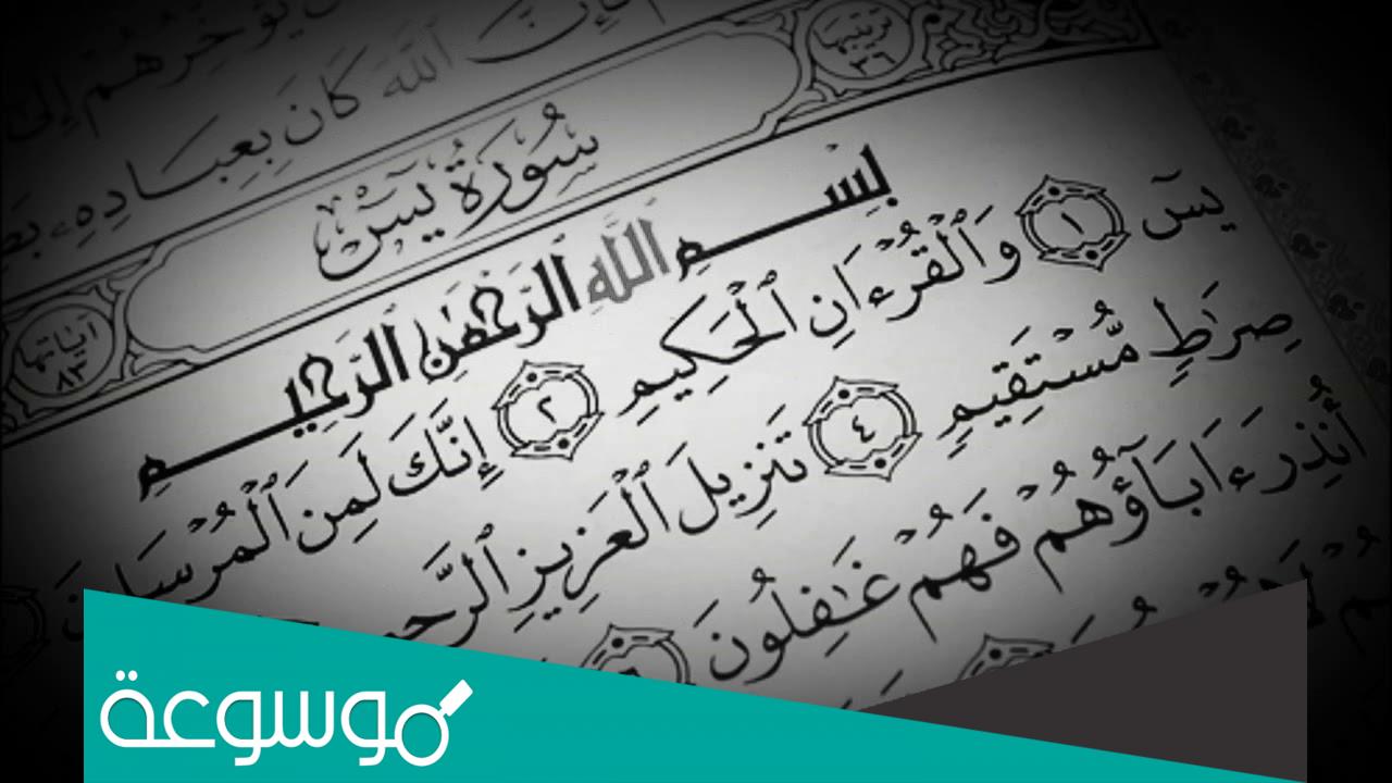 تجربتي مع سورة يس لقضاء الحوائج وفضلها
