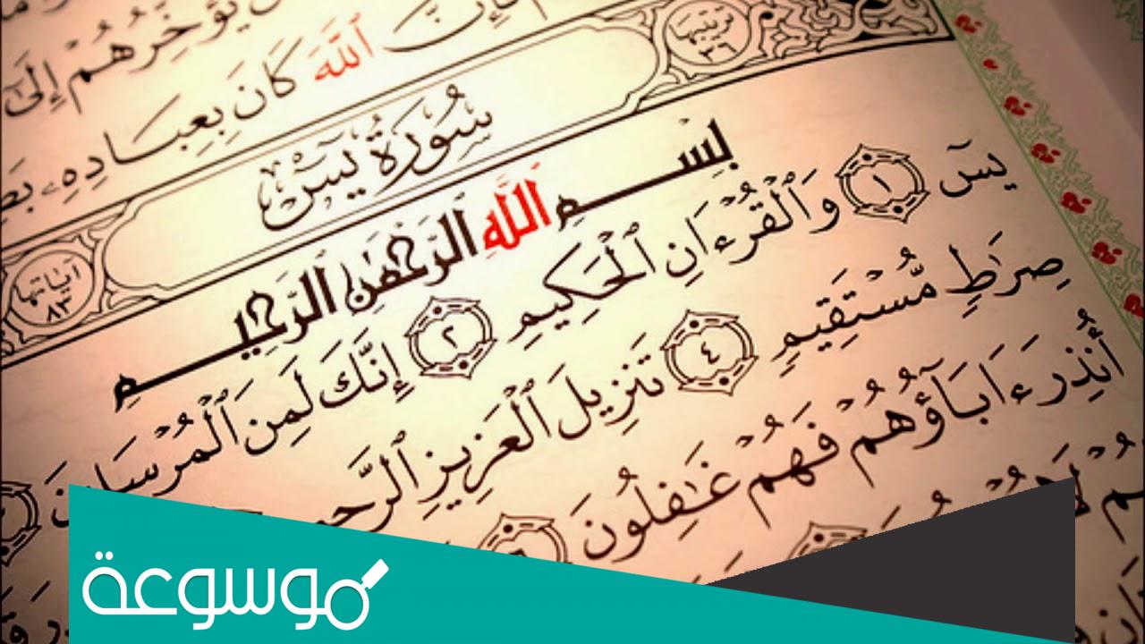 تجربتي مع سورة يس للحمل