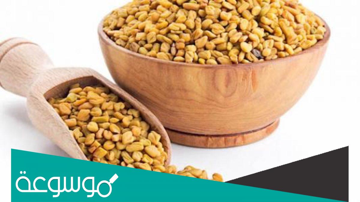 تجربتي مع شرب الحلبة لتكبير المؤخره