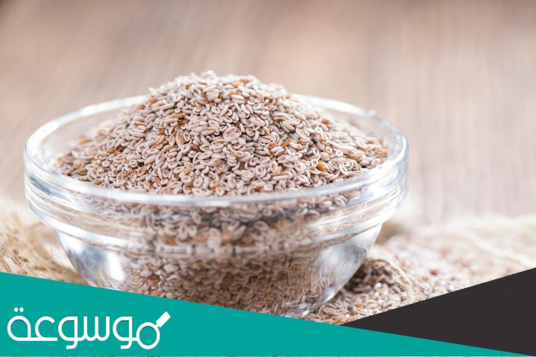 تجربتي مع عشبة الاسبغول للتنحيف