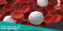 تجربتي مع نقص كريات الدم البيضاء