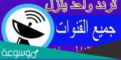 ترددات جميع القنوات المصرية 2022 على النايل سات