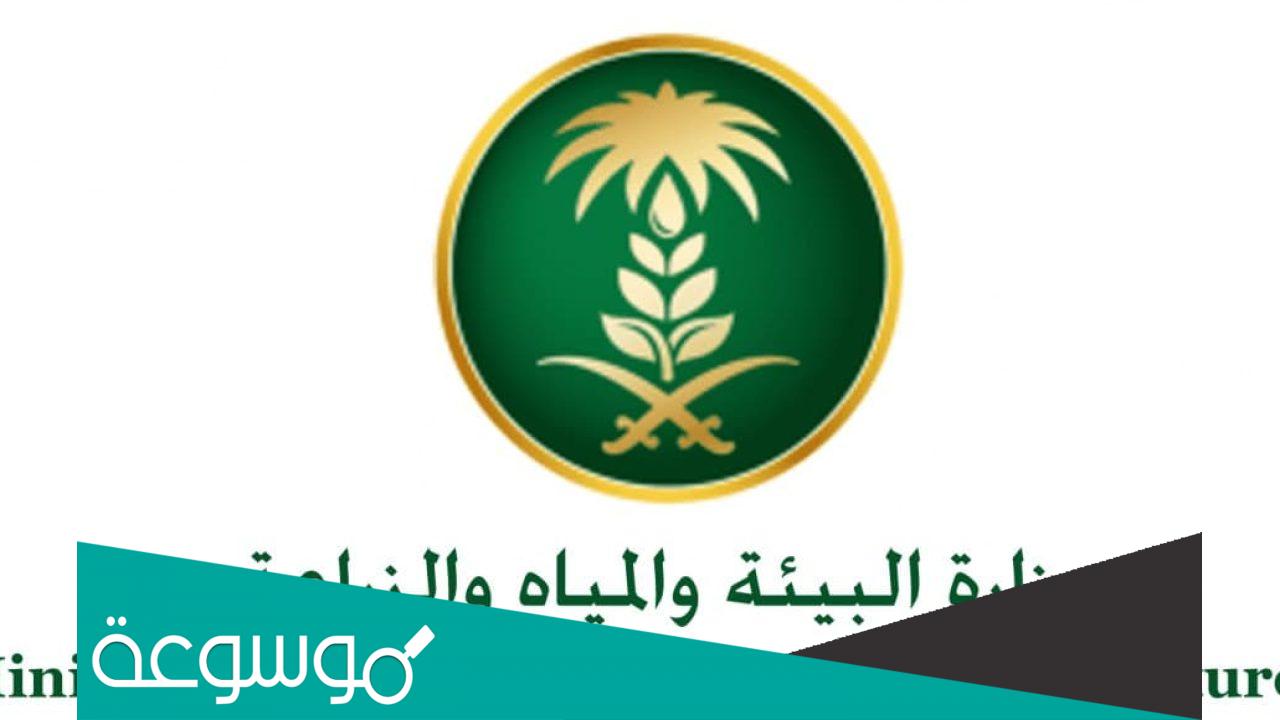 تسجيل الدخول في برنامج دعم صغار