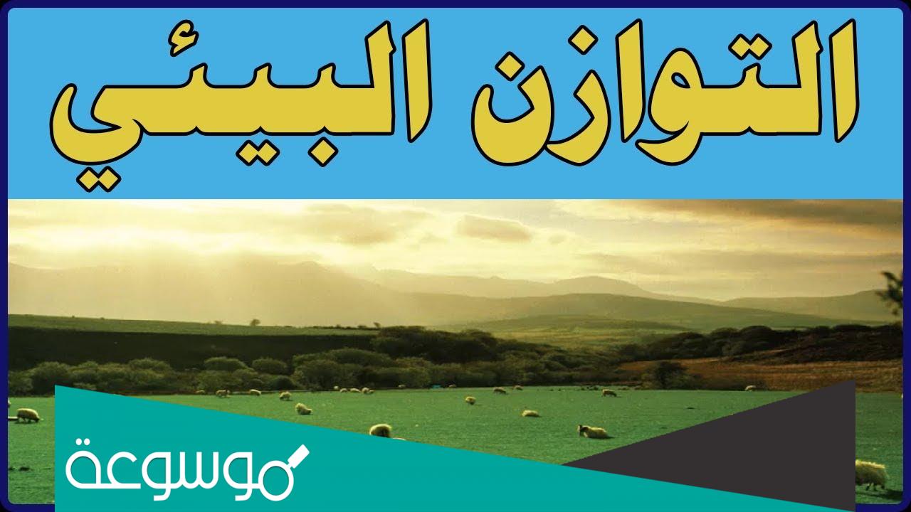 تعريف التوازن البيئي؟