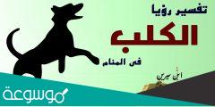 تفسير حلم رؤية عضة الكلب في المنام لابن سيرين