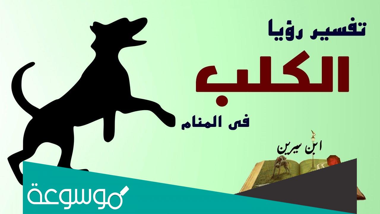 تفسير حلم رؤية عضة الكلب في المنام لابن سيرين