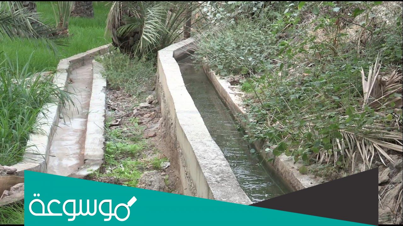 تقرير عن الافلاج في عمان