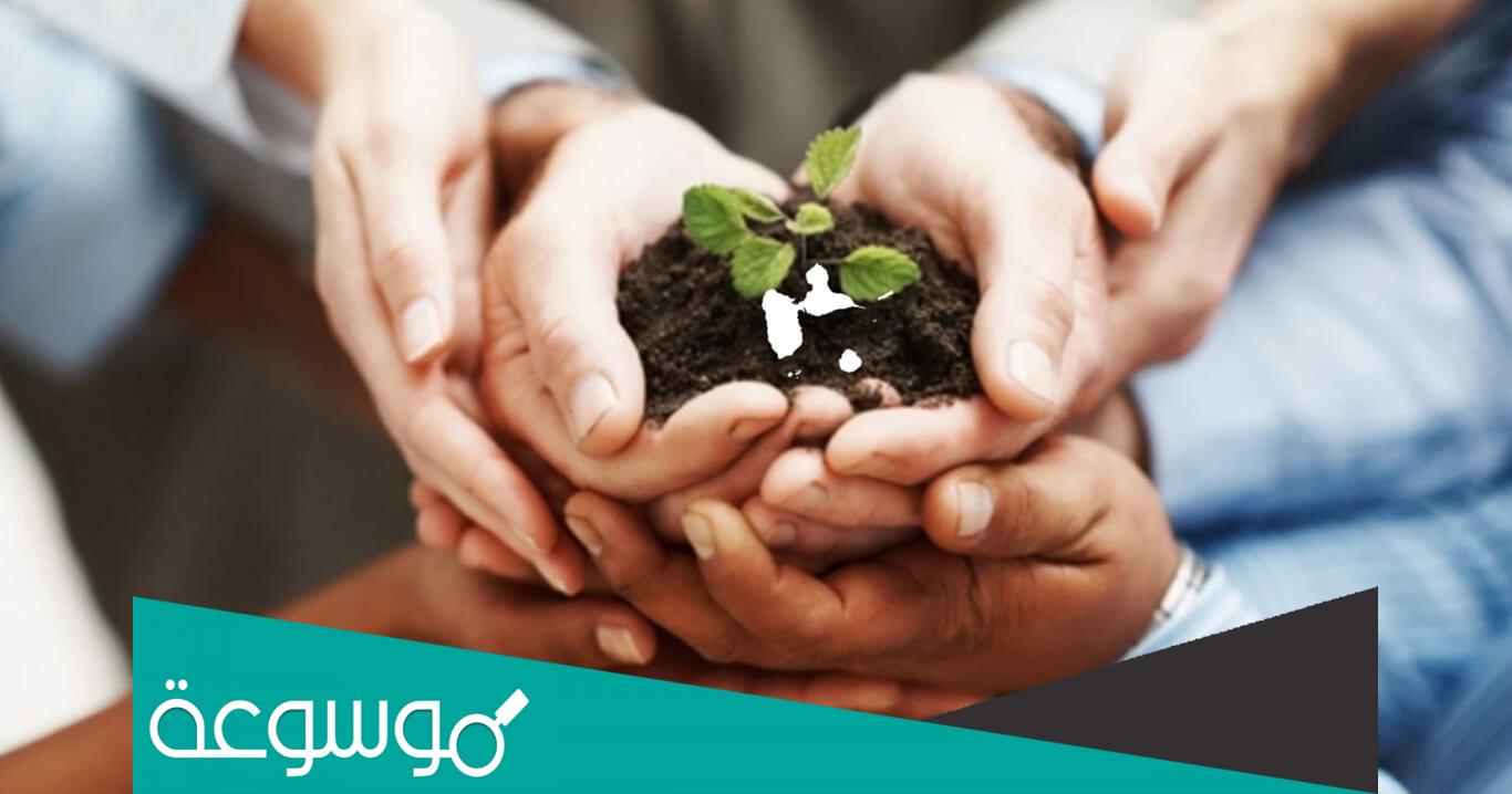 تقرير عن عمان والمواطنة العالمية