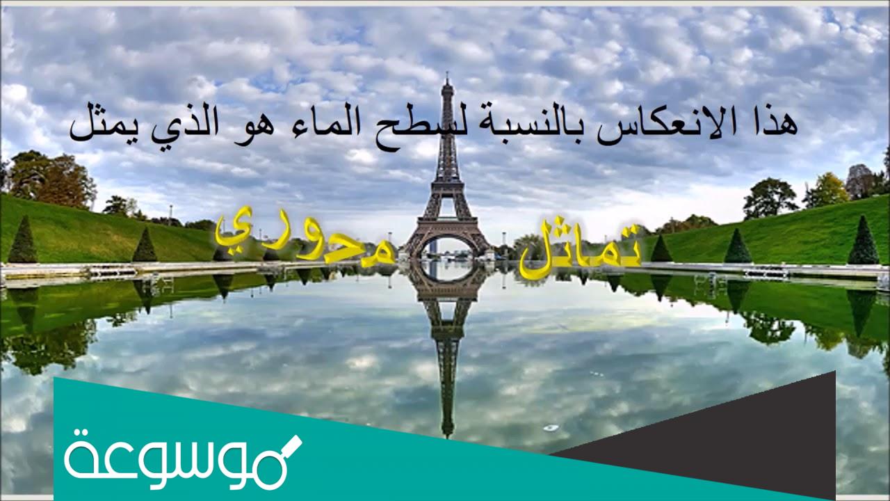 تقرير مبسط عن التماثل في الحياه