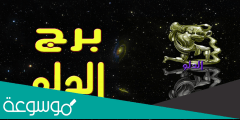 توقعات ماغي فرح برج الدلو 2022 “سنة استثنائية بحياتك”