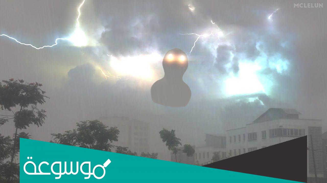 حقيقة ظهور كائن غريب جنوب الهند