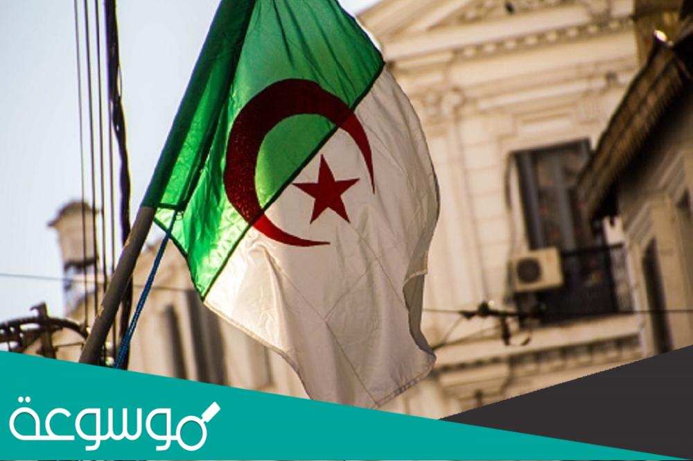 سبب اقالة وزير النقل الجزائري