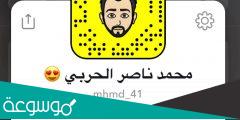 سناب محمد ناصر الحربي