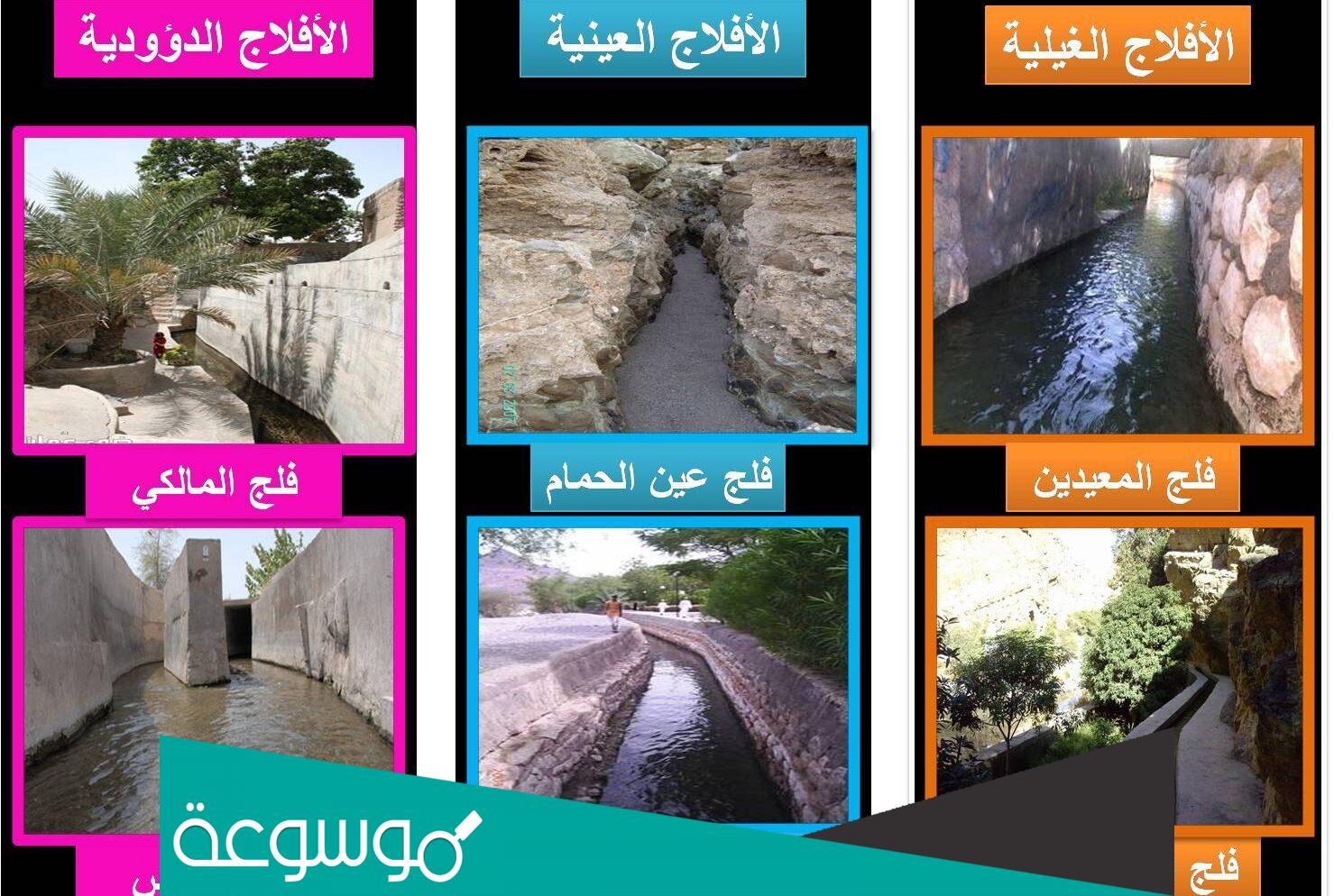 كم عدد الافلاج في عمان