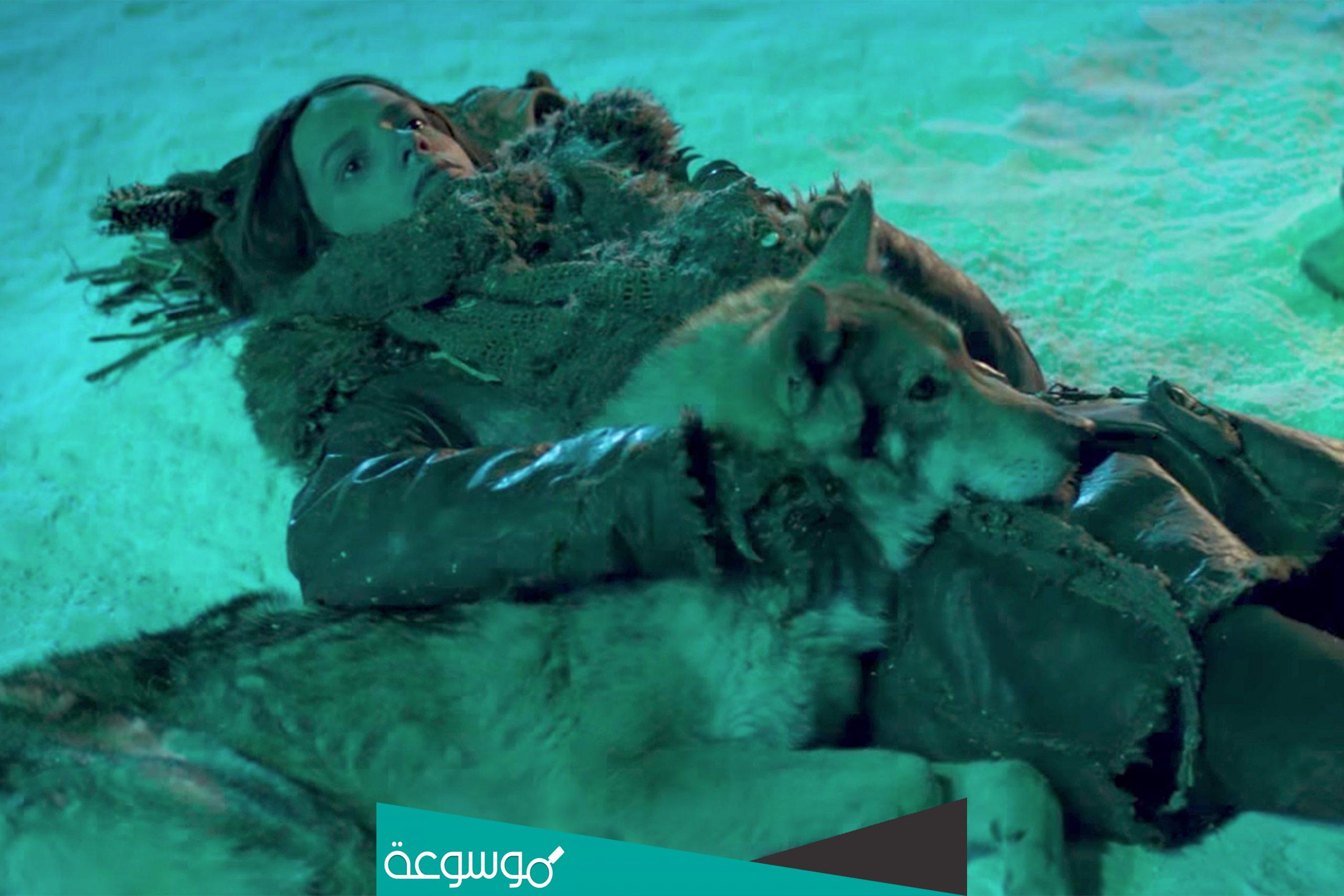 قصة فيلم alpha ويكيبيديا