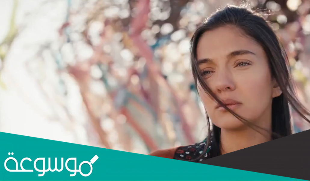 قصة مسلسل طائر العنقاء وطاقم العمل