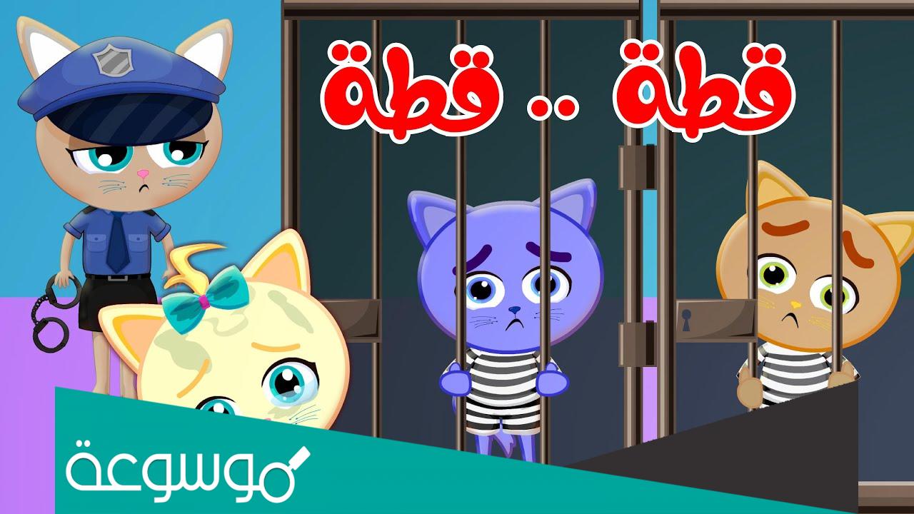 قطة قطة راحت على الشرطة كلمات
