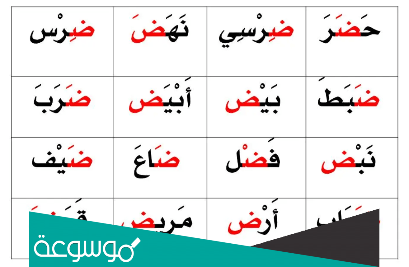 كلمات تحتوي على حرف الضاد