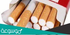 كم تبلغ اسعار السجائر في مصر