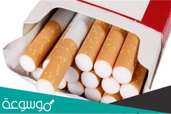 كم تبلغ اسعار السجائر في مصر