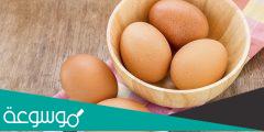 كم سعر طبق البيض الأورجانيك