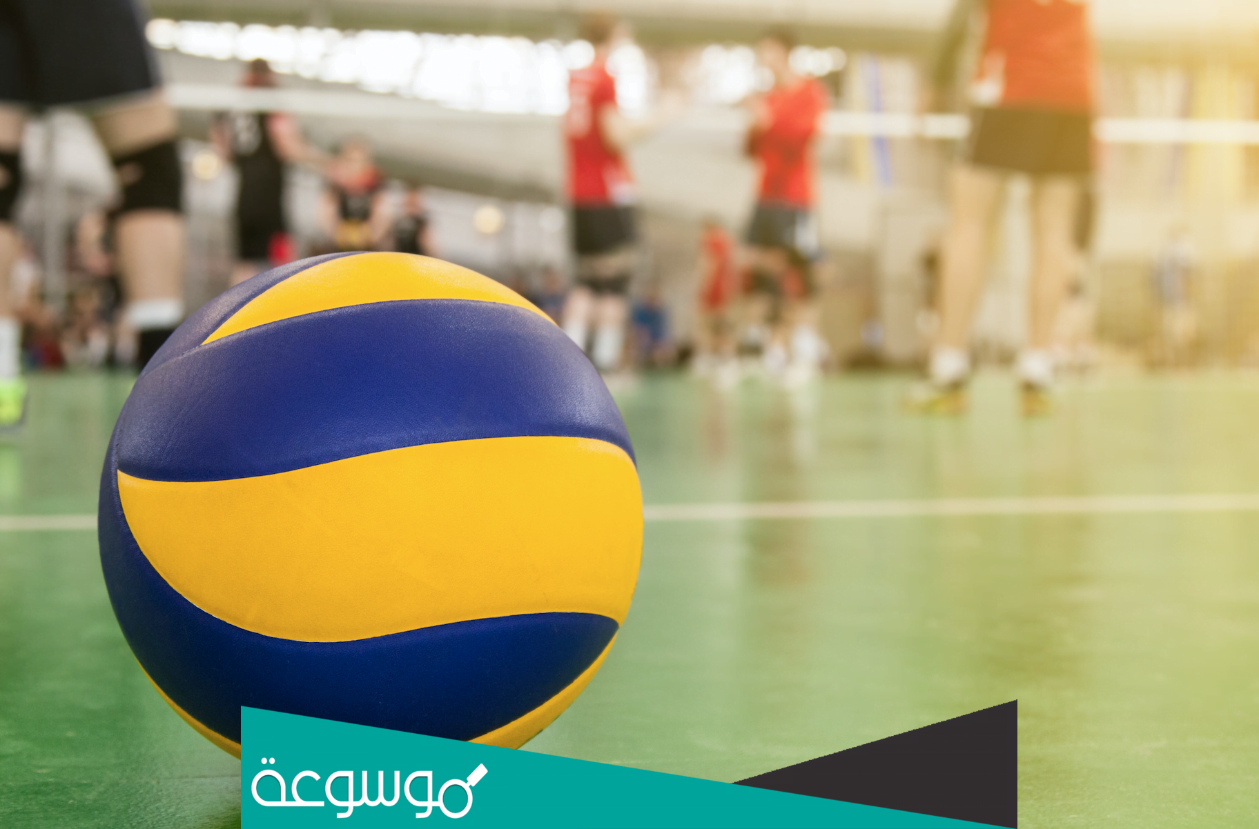 كم عدد الحكام في كرة الطائرة