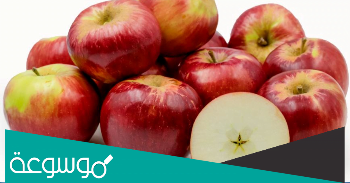 كم عدد السعرات الحرارية في التفاحة؟