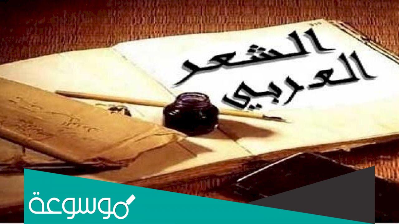 كم عدد بحور الشعر العربي ومن وضعها