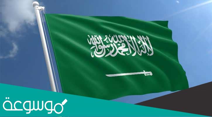 كم عدد جيش السعودية 2022