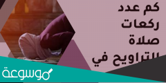 كم عدد ركعات صلاة التراويح وكيفية ادائها