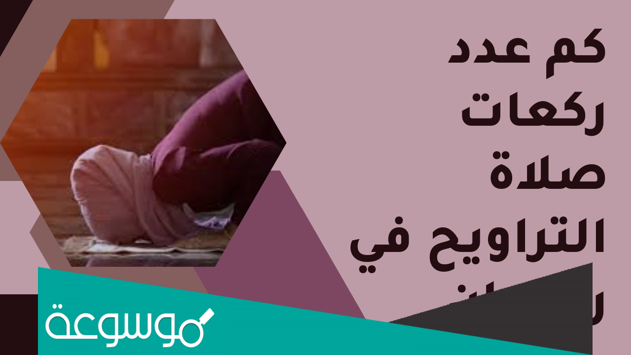 كم عدد ركعات صلاة التراويح وكيفية ادائها