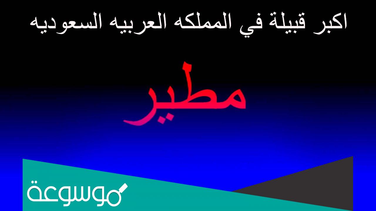 كم عدد قبيلة مطير