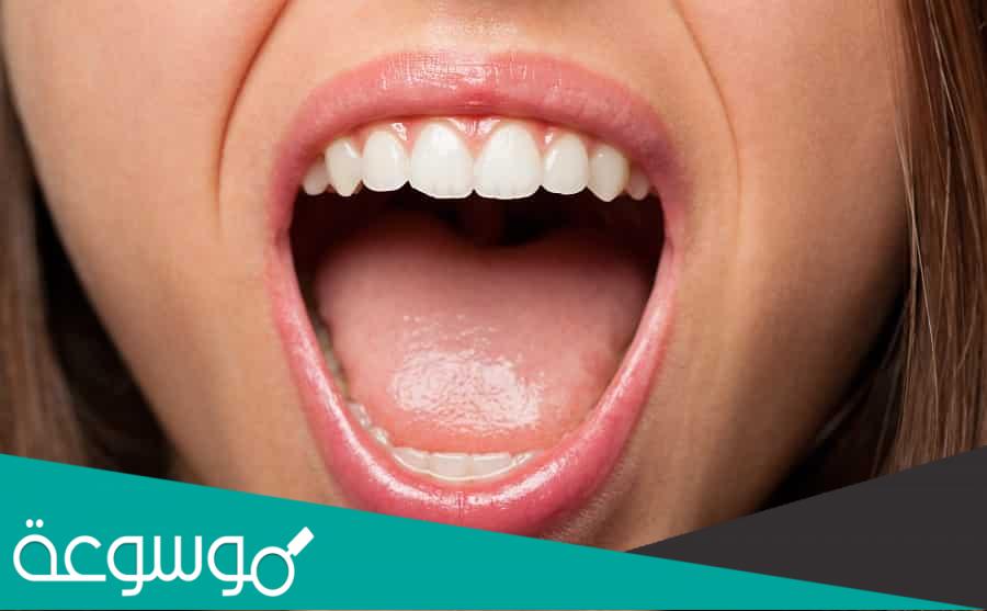 كم ينتج الفم من اللعاب يوميا