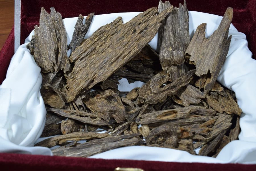 كيف تعرف العود الأصلي من التقليد والمغشوش