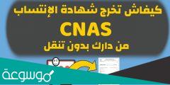 كيفية استخراج شهادة عدم الانتساب CNAS من الانترنت