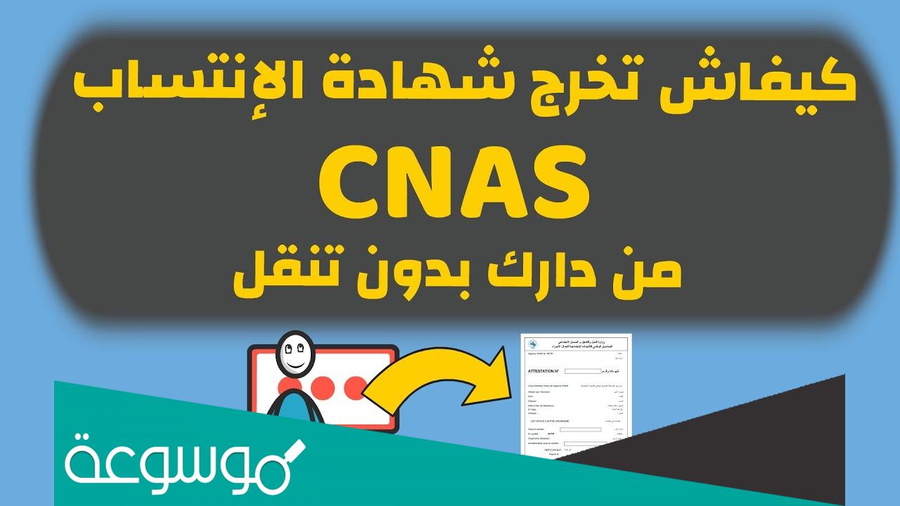 كيفية استخراج شهادة عدم الانتساب CNAS من الانترنت