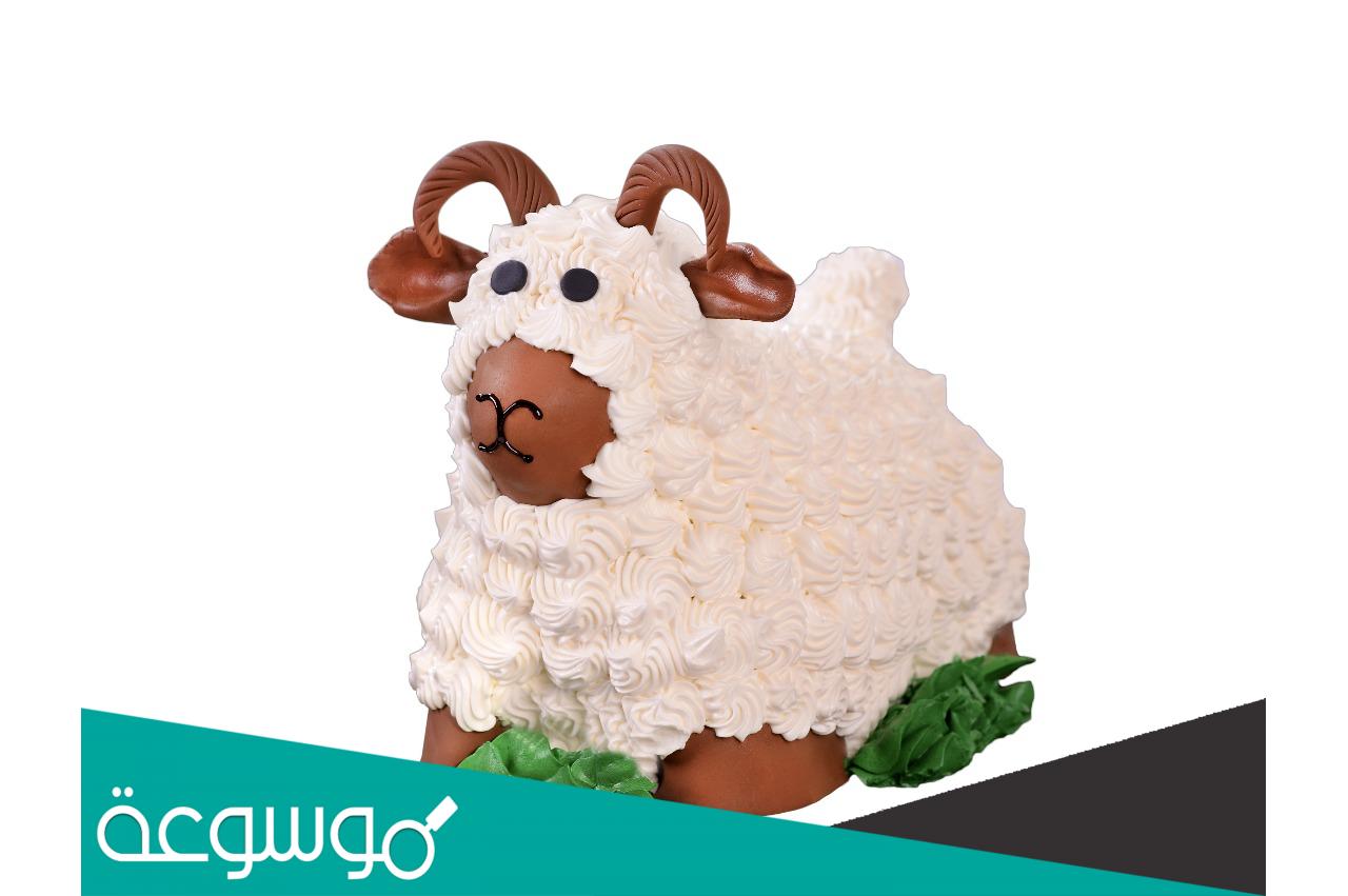كيكة خروف العيد سنابل السلام ، طريقة الحجز والطلب 2022