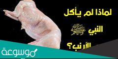 لماذا رفض الرسول اكل لحم الارنب