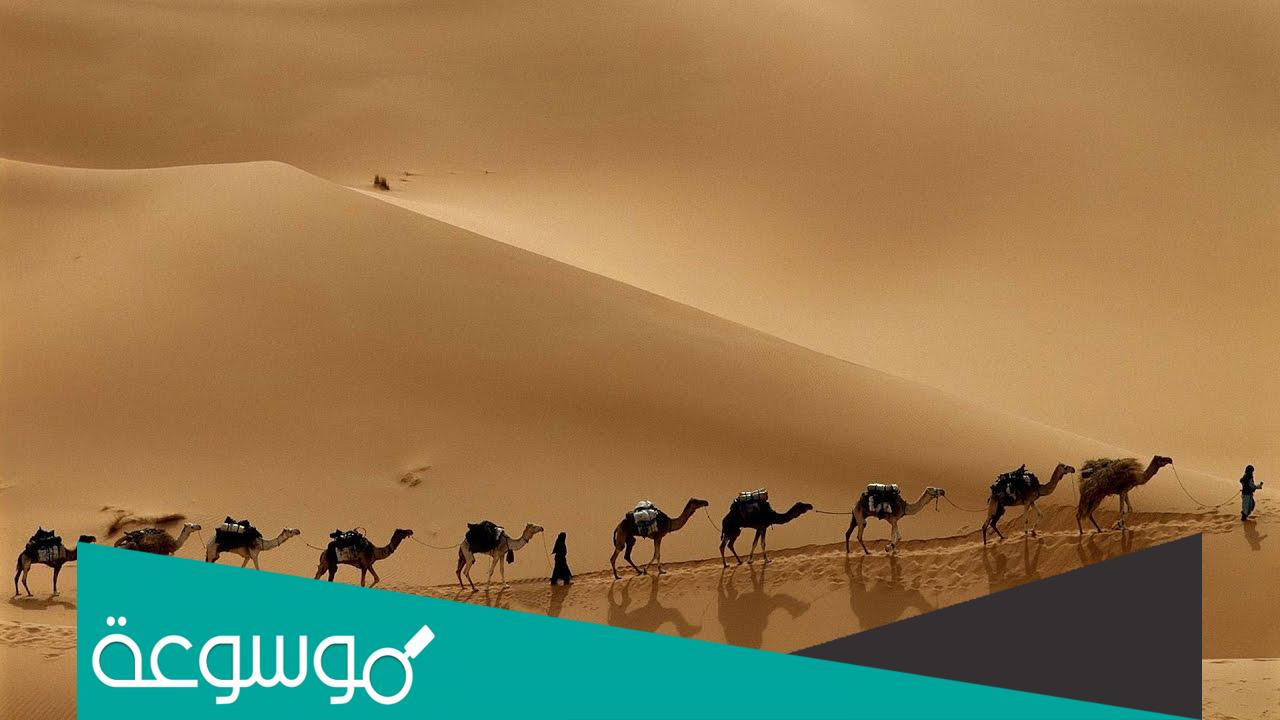 لماذا سميت طريق البخور بهذا الاسم