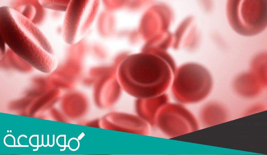 لماذا لا تشرب الارض الدماء